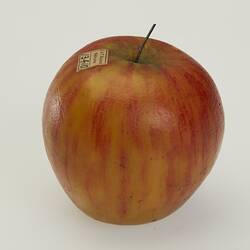 Red wax apple model.