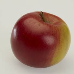Apple Model - Pomme de Neige, 1949