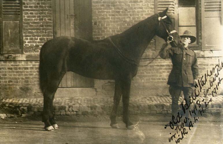 Horse in profile, with bit held by man in uniform.