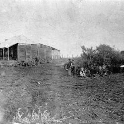 Negative - New South Wales, circa 1880