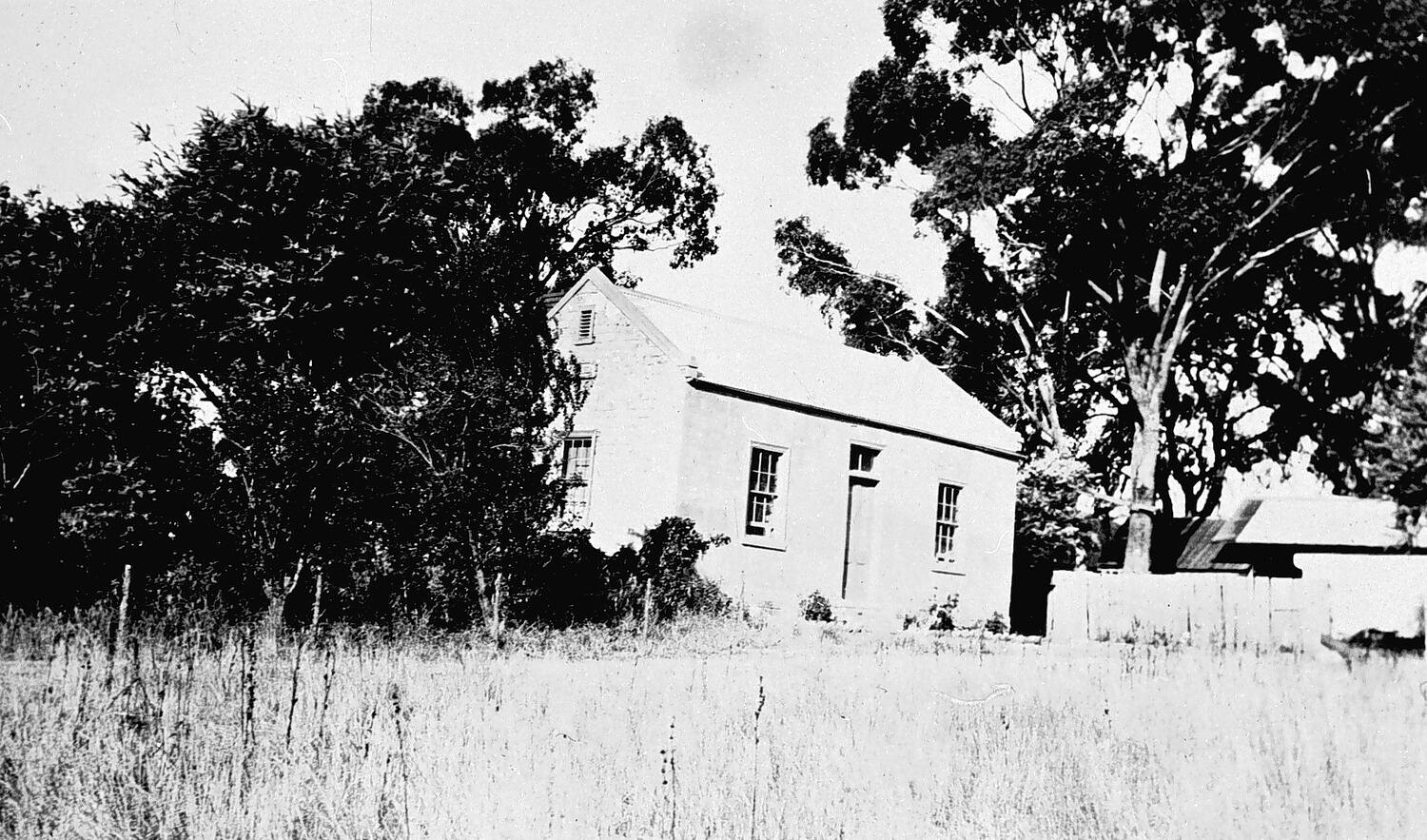 Negative Big Hill, Bendigo, Victoria, circa 1905