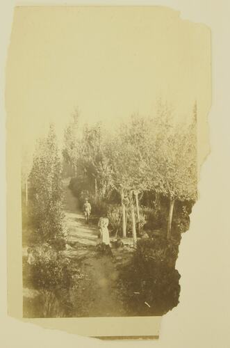 man and woman walking down tree lined path.