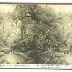 Rose Stereograph - 'The St. George River, Lorne, Vic. Australia. 1910'