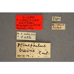 Handwritten specimen labels.
