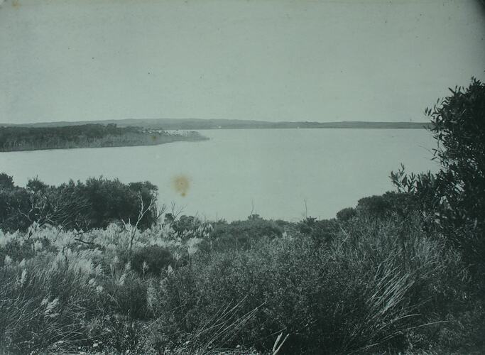 Lake Dobson near N.W. coast dedicated by the Expedition to the Hon: Dr. Dobson M.L.A.