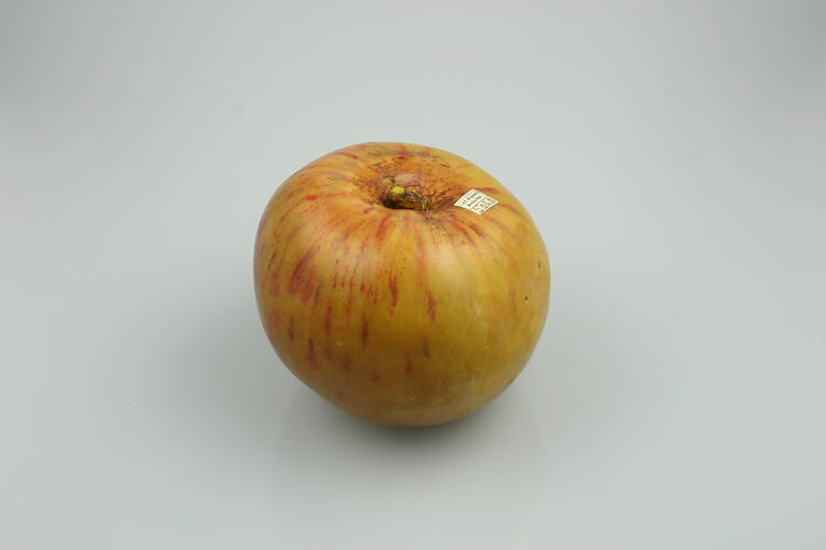 Wax model of an apple