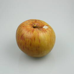 Apple Model - Twenty Ounce, Greensborough, 1875