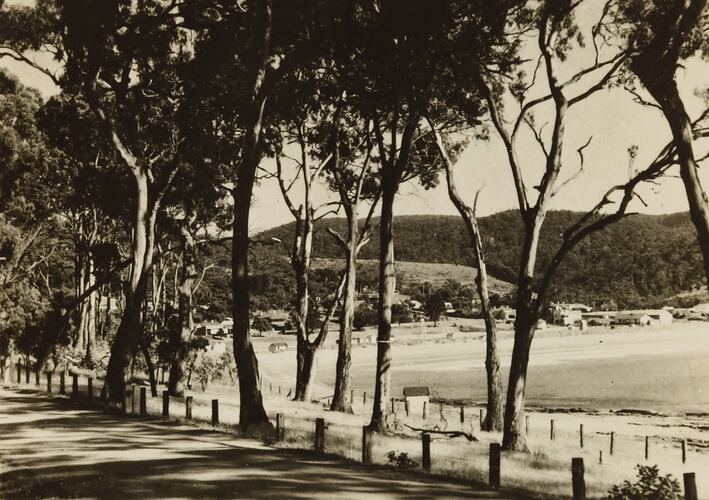 Photograph - Coastal Landscape, Lorne, Victoria, 1930s