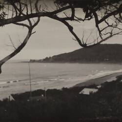 Photograph - Loutit Bay Looking Towards the Point, Lorne, Victoria, circa 1920s