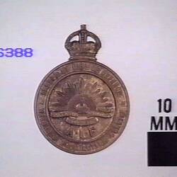 Badge - Returned From Active Service, Colonel J. Rex Hall, circa 1919