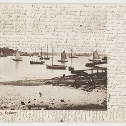 Postcard - Neutral Bay, Sydney, To J. B. Scott from Marion Flinn, Melbourne, 31 Aug 1904