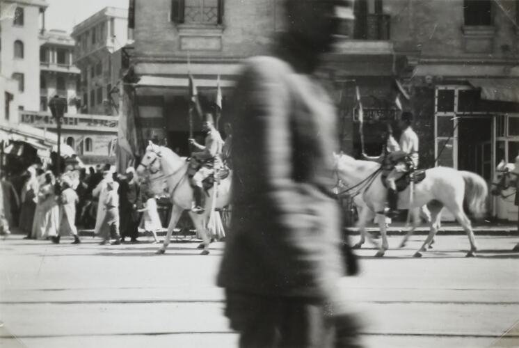 Photograph - King Farouk's Horses, Alexandria, Egypt, World War II, 1939-1943