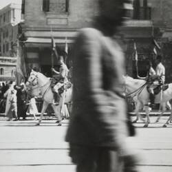 Photograph - King Farouk's Horses, Alexandria, Egypt, World War II, 1939-1943