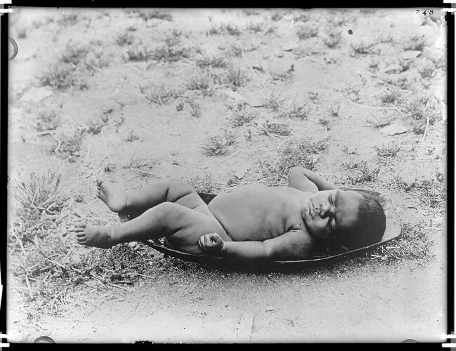 Arrernte baby lying in a pitchi, Alice Springs, Central Australia, 1895.