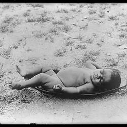 Arrernte baby lying in a pitchi, Alice Springs, Central Australia, 1895.
