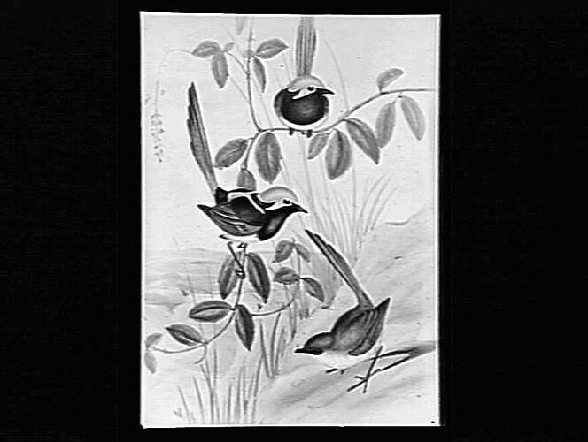 Negative - Glass
