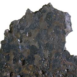 Slice of meteorite specimen.