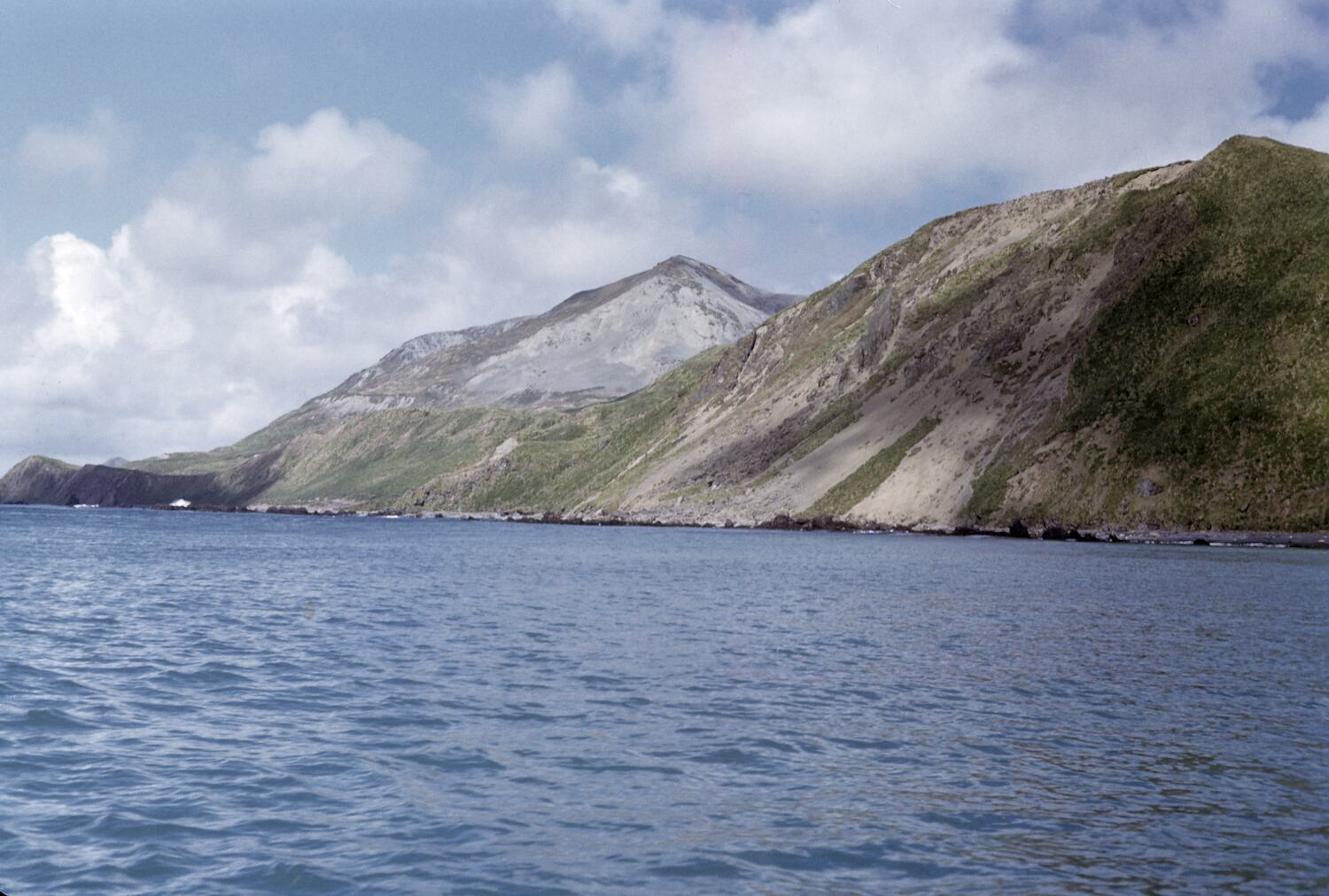 Slide Buckles Bay, Macquarie Island, Tasmania, Dec 1959