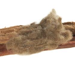 Spindle