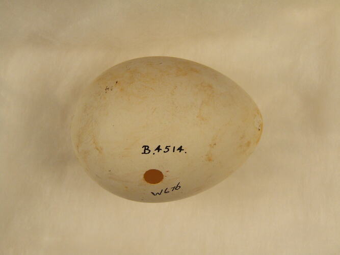 Bird egg, hand written text on shell.