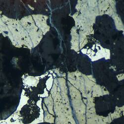Thin section of meteorite