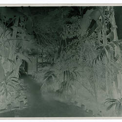 Kodak Australasia Pty Ltd, Back Garden, Kodak Branch, Townsville, QLD, 1930s