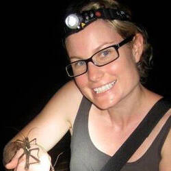 Assistant Collection Manager Claire Keely holding large insect.