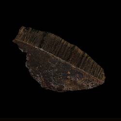 Lime Creek Meteorite. [E 12413]