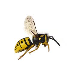 Model of black and yellow wasp.