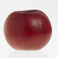 Wax model of an apple painted red. Has brown stem.