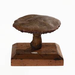 Model of a brown mushroom on a wooden base.