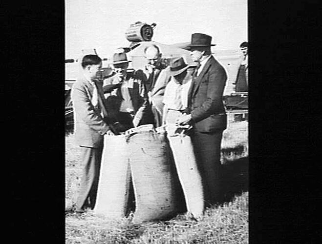 MESSRS. GAUNT, SHEA, S.S.MCKAY, LESBERG AND SCOTT, EXAMINING RYE GRASS SEED HARVESTED BY SUNSHINE HEADER ON THE FARM OF J.J. MCDONALD & SONS, BIRREGURRA, VICTORIA, JAN. 1948