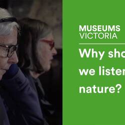 Why should we listen to nature?