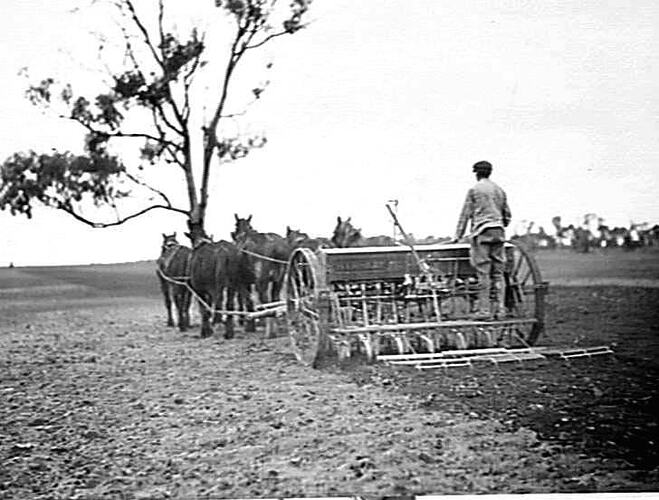 Photograph - H.V. McKay Pty Ltd, Farm Equipment Manufacture & Field ...