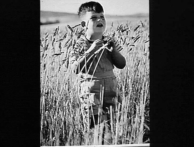 SUNSHINE REVIEW, SEPT 1948