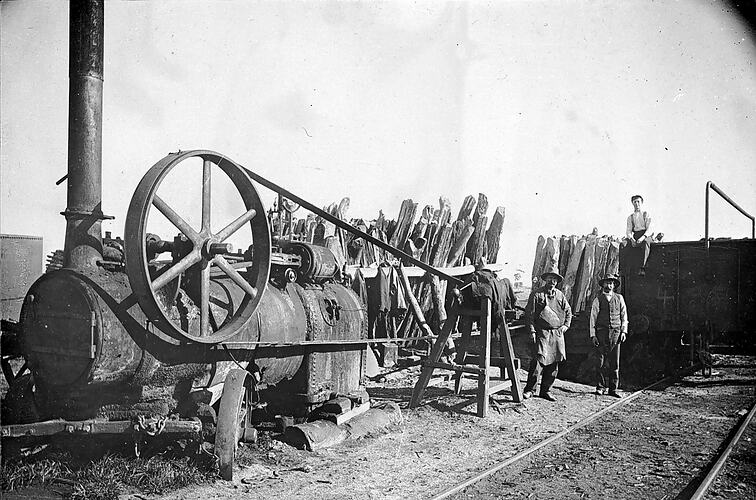 Steam-powered sawmill cutting timber for locomotives, Knowsley district, 1913.