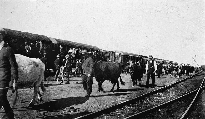 Better Farming Train, Mildura, 1926.
