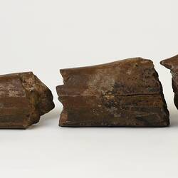Long, taperered brown fossil whale snout in three pieces.