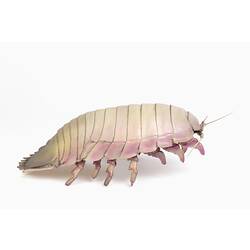 <em>Bathynomus</em>, isopod model. [J 75539.1]