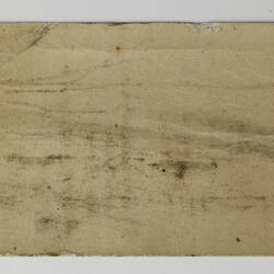 Back of discoloured bait card.