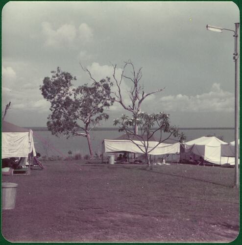 White flimsy tents pitched on grass amongst some trees. Ocean in background.