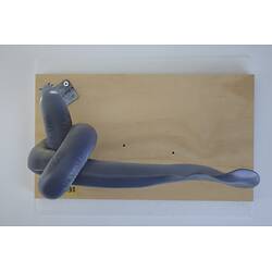 <em>Eptatretus cirrhatus</em>, Broadgilled Hagfish, model. [A 26658-002]