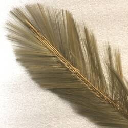 Finely spun glass replicating a yellow feather.