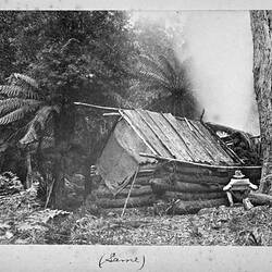 Photograph - by A.J. Campbell, Dandenong Ranges, Victoria, circa 1890
