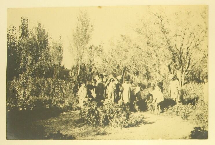 Group of children in a bush clearing or garden.