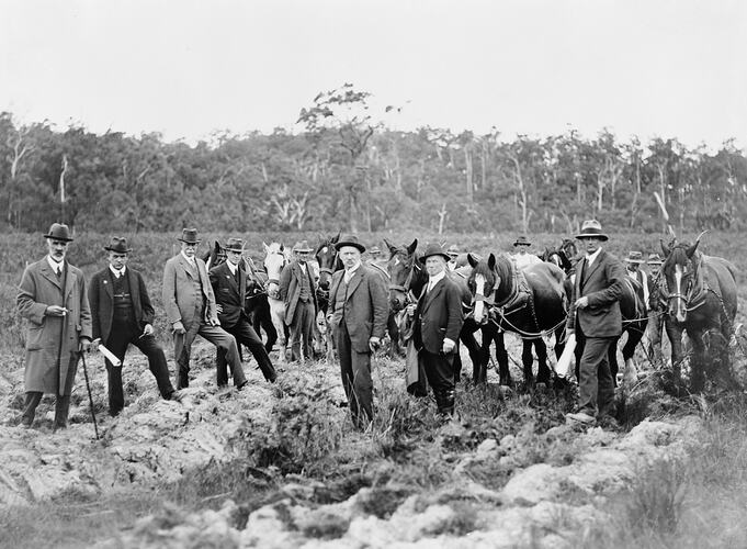 Men standing with horses in wet and muddy ground. Trees in background.