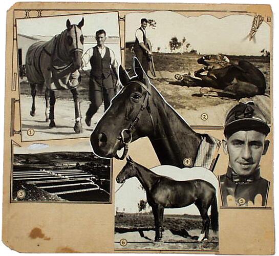 Printers proof, six photographs of horse and men.
