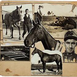 Printers proof, six photographs of horse and men.