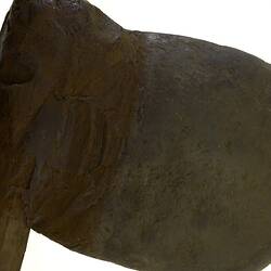 Stone Axe, close up of head