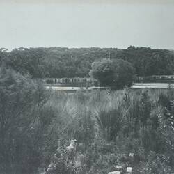 Photograph - The Lesser Martha Lavinia Lagoon, King Island, 1887